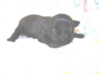 click on me to see me grow!
